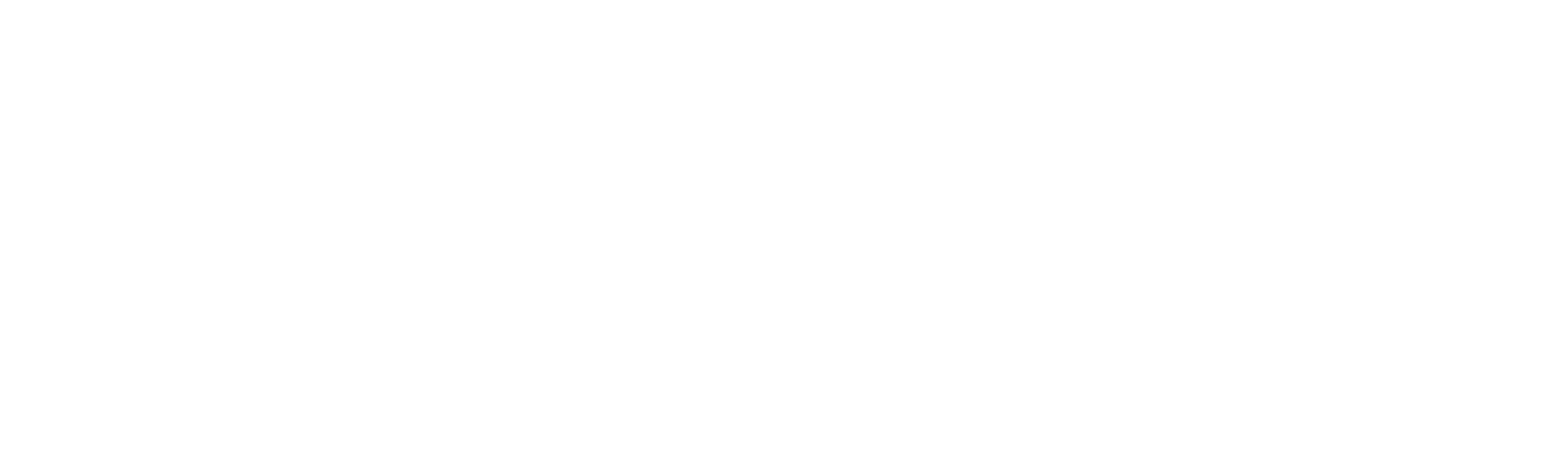 Metro Foot & Ankle logo